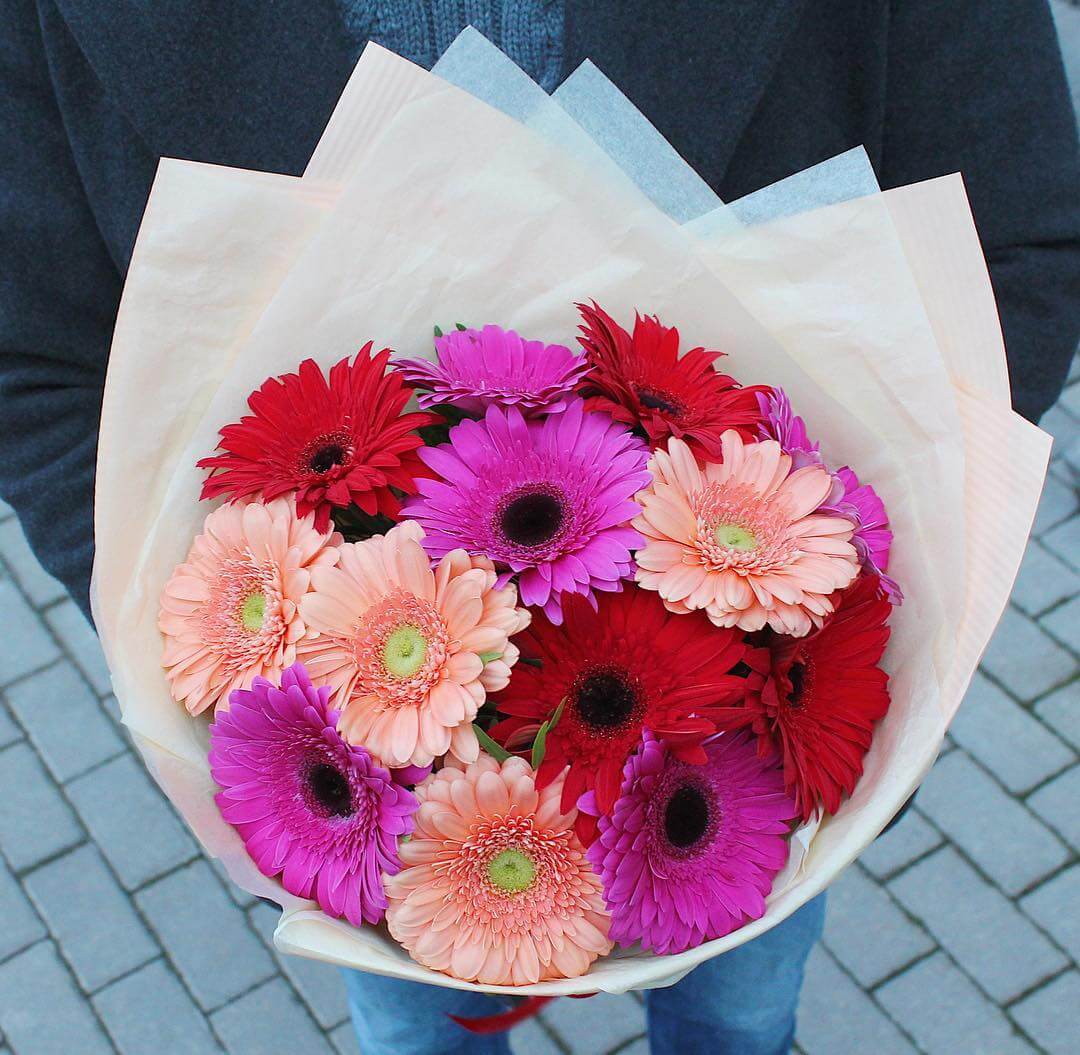 Микс из 19 гербер