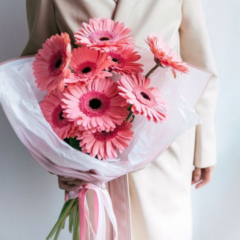 19 коралловых гербер в букете