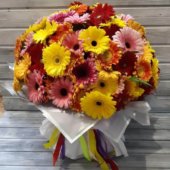 Микс из гербер - 101 шт.