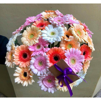 29 разноцветных гербер