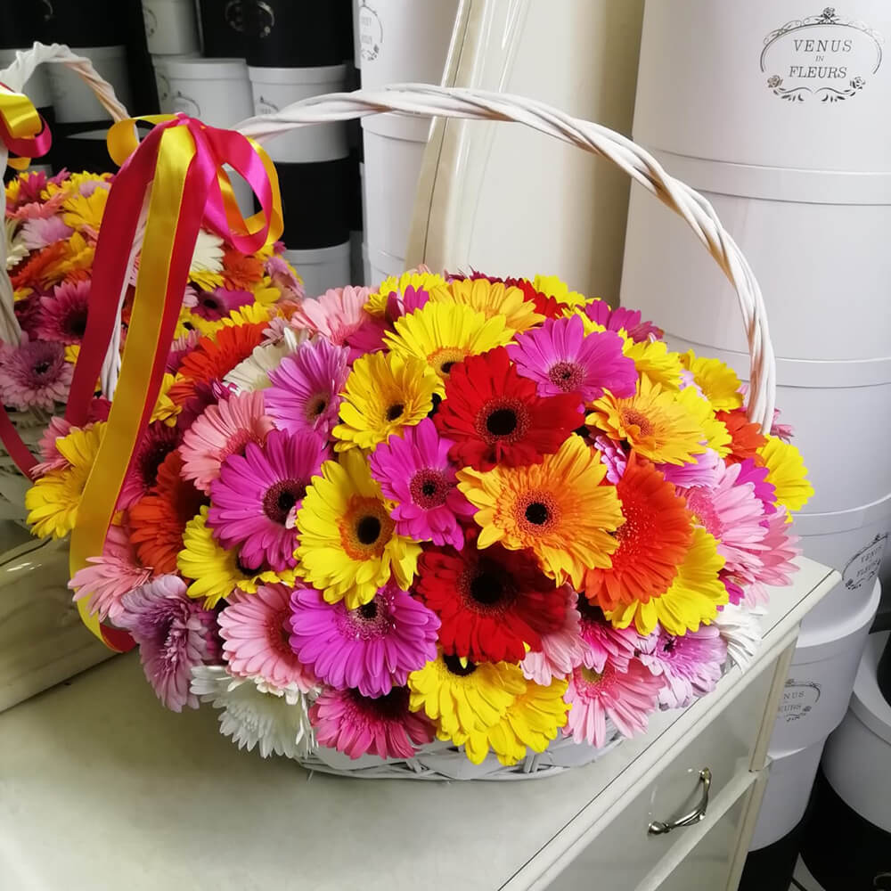 Разноцветные герберы - 101 шт.