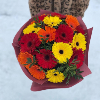 15 красно-желтых гербер в букете