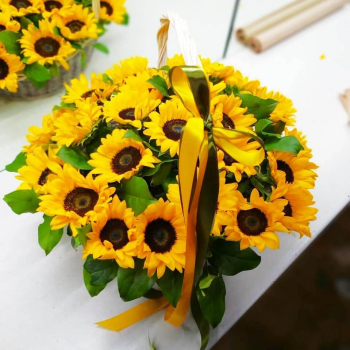 29 подсолнухов в корзине