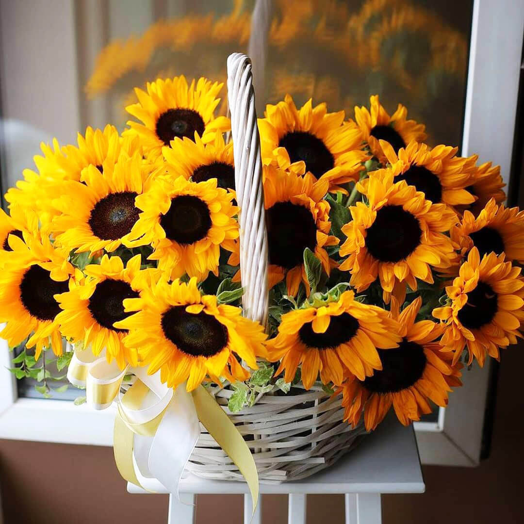 41 подсолнух в корзине