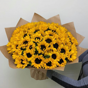 41 подсолнух в букете 41 подсолнух в букете