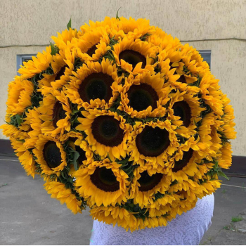 51 подсолнух в букете