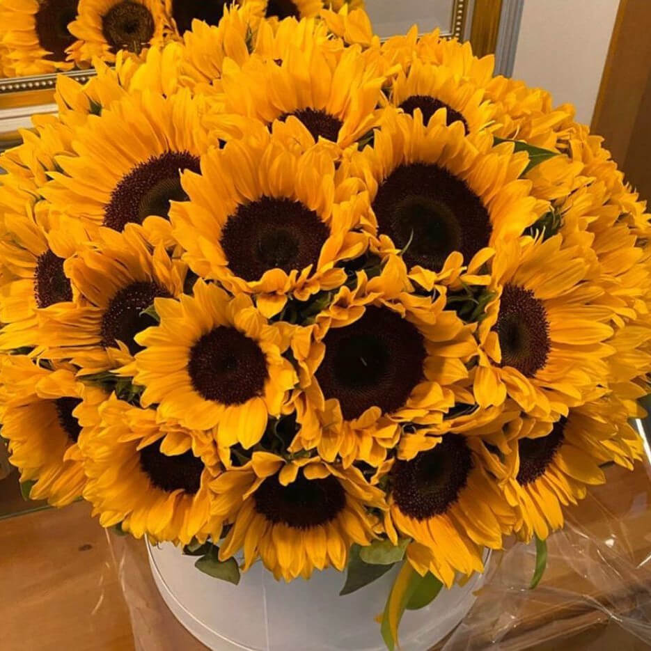 41 подсолнух в коробке