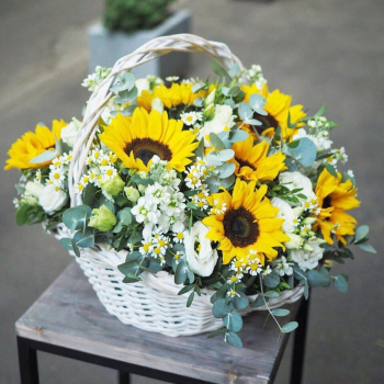 Подсолнухи с маттиолами - 31 шт.