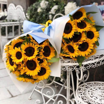 9 подсолнухов коллегам