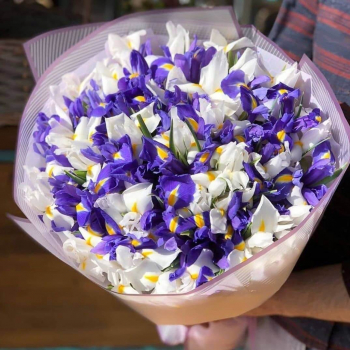 Бело-синий букет из 101 ириса