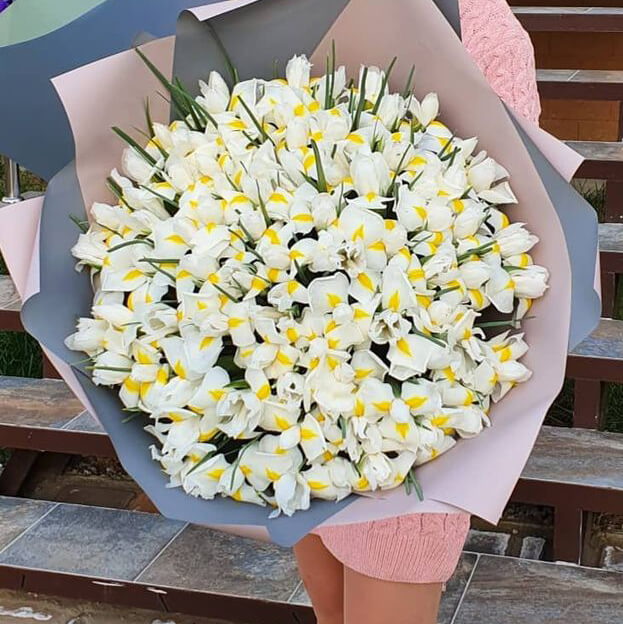 201 белый ирис в букете