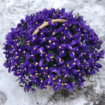 201 ирис в корзине