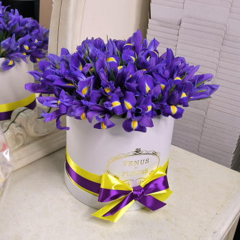 51 ирис в коробке