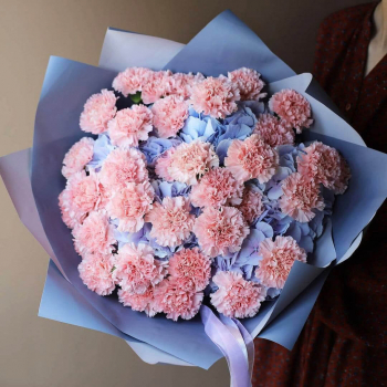 Гвоздики с гортензиями - 23 шт.