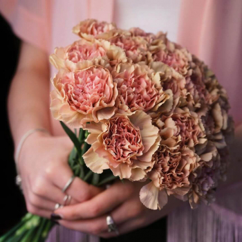 19 кофейных гвоздик