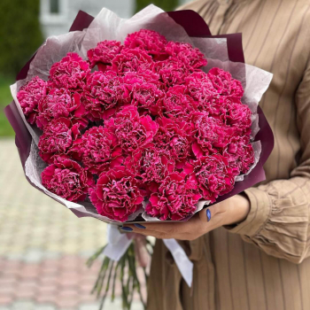 25 винных гвоздик в букете