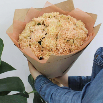 Букет из 25 кофейных гвоздик