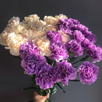 41 бело-фиолетовая гвоздика в букете