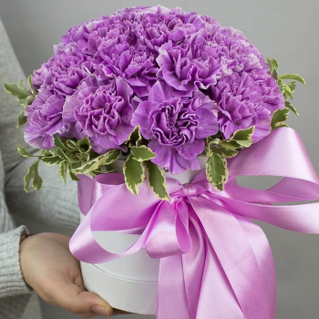 41 фиолетовая гвоздика в коробке