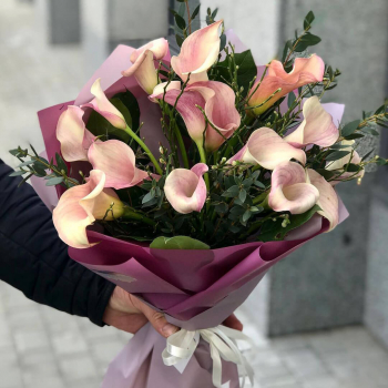 15 нежных калл с зеленью в букете 15 нежных калл с зеленью в букете