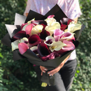 41 калла в букете 41 калла в букете