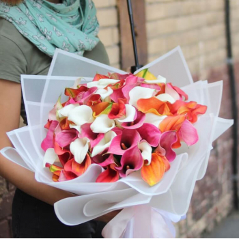 41 разноцветная калла в букете 41 разноцветная калла в букете