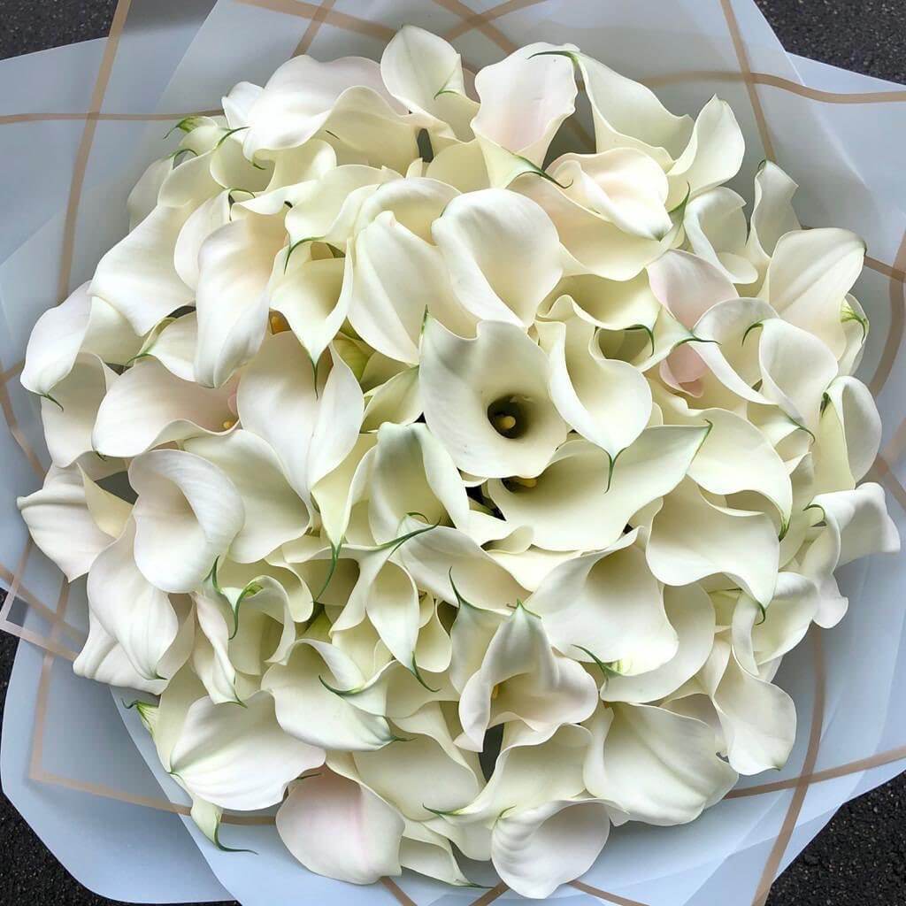 51 белая калла в букете