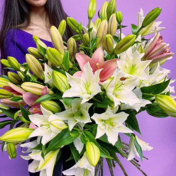 19 бело-розовых лилий в букете