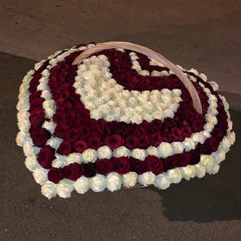 501 роза в корзине в форме сердца