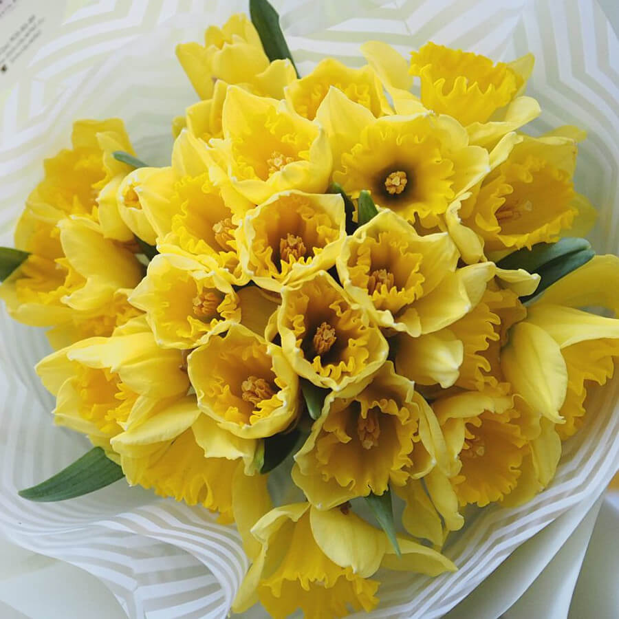 19 желтых нарциссов в букете