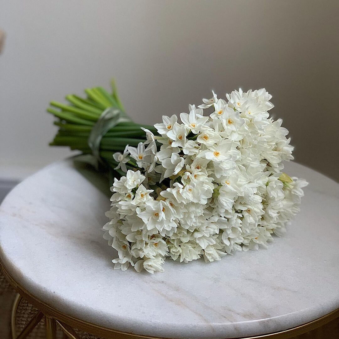 81 белый нарцисс в букете