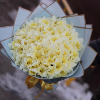 101 нарцисс в букете