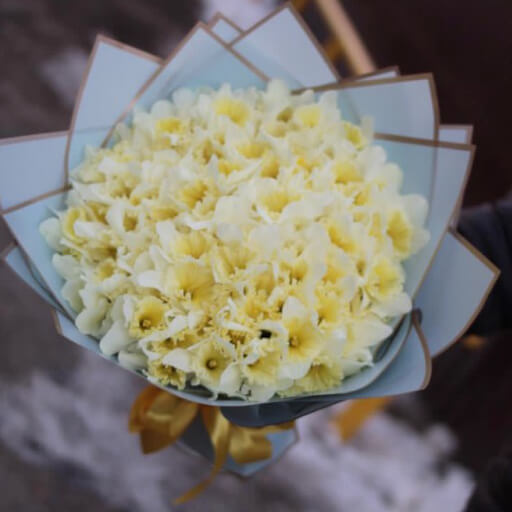 101 нарцисс в букете