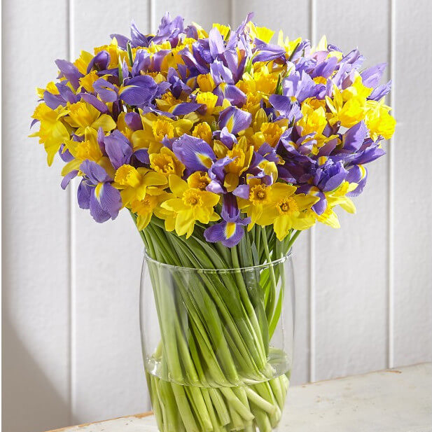 Ирисы с нарциссами в букете - 101 шт.
