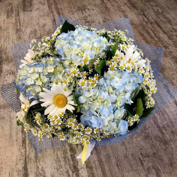 Гортензии с ромашками - 35 шт.