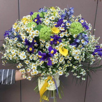 Ромашки с ирисами - 51 шт.