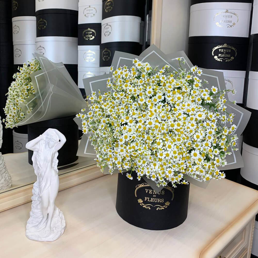 25 кустовых ромашек в букете