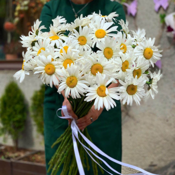 29 ромашек в букете