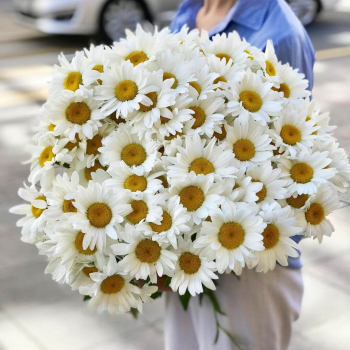 51 крупная ромашка в букете