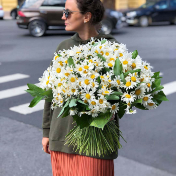 151 крупная ромашка в букете