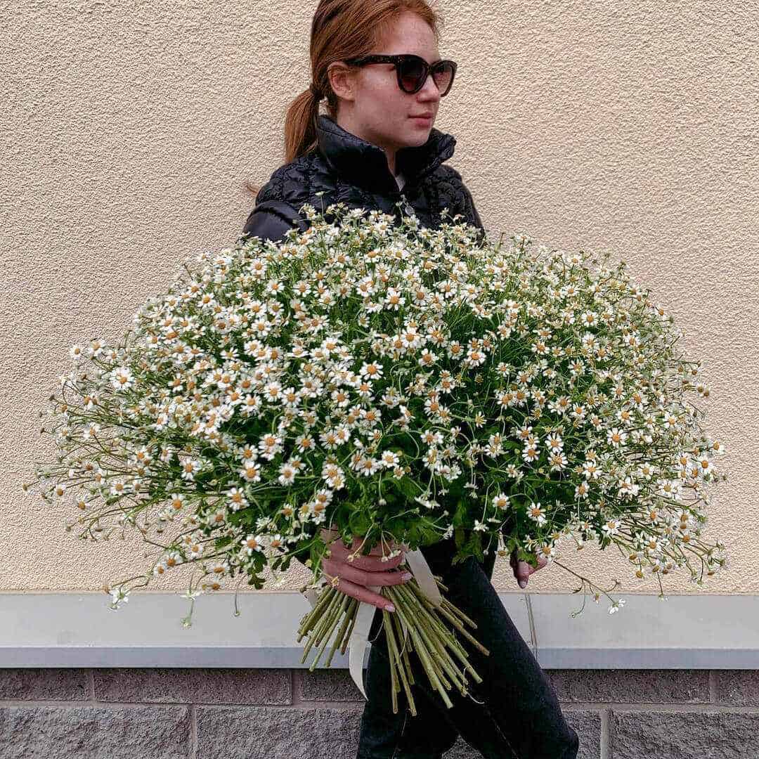 151 кустовая ромашка в букете