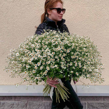 151 кустовая ромашка в букете