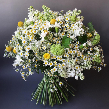 Ромашки с маттиолой - 55 шт.