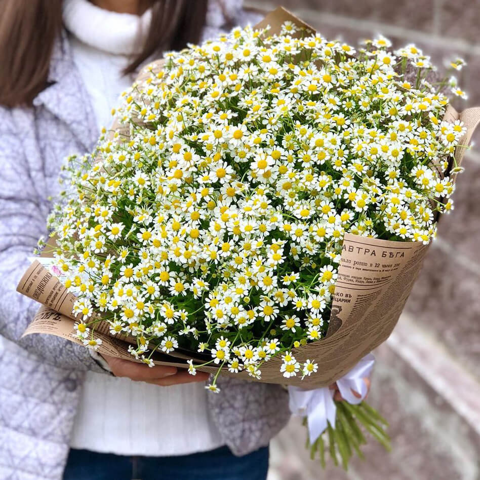 201 кустовая ромашка в букете