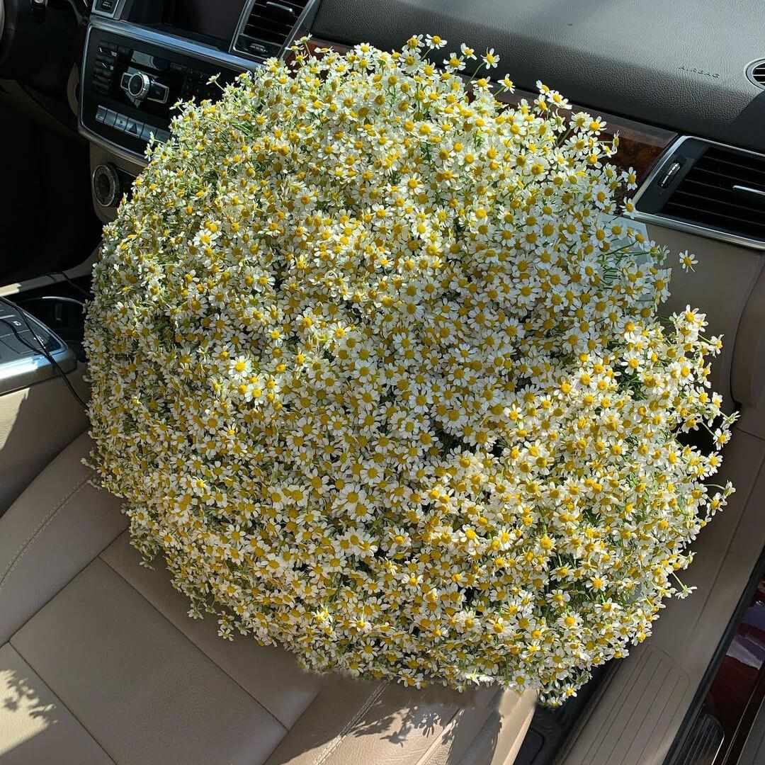 301 кустовая ромашка в букете