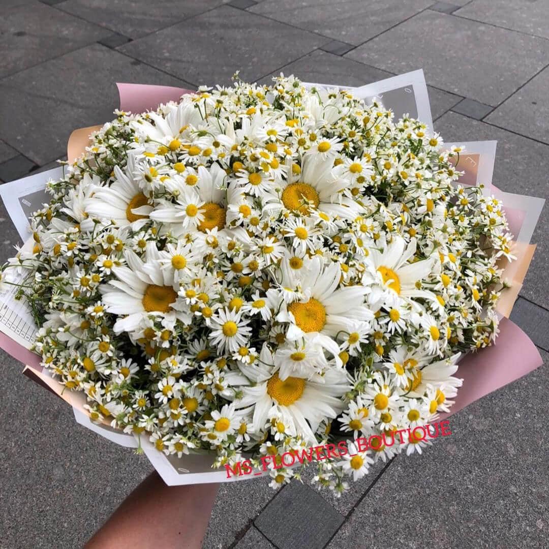 Букет из 61 ромашки в миксе