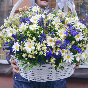 Ромашки с колосьями - 101 шт.