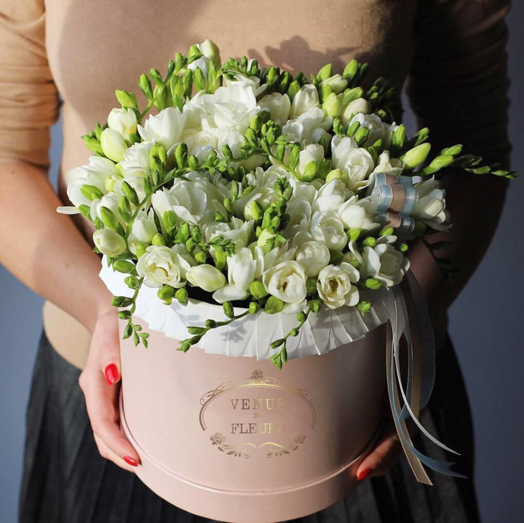 51 белая фрезия в коробке