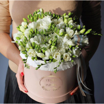 51 белая фрезия в коробке