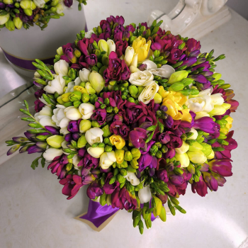 151 фрезия в коробке